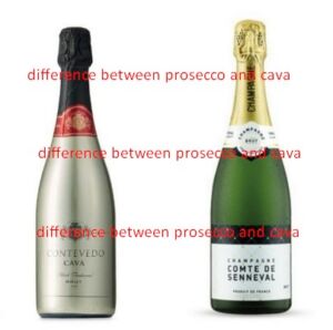 difference-between-prosecco-and-cava